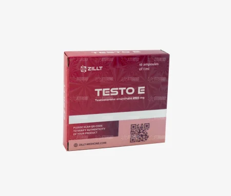 Testosterone Enanthate 250 mg/ml – 1/10 Ampulle – Zillt Medicine Testo E-12