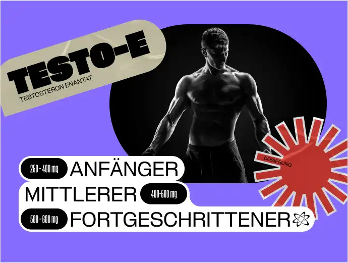 testoe-anfanger